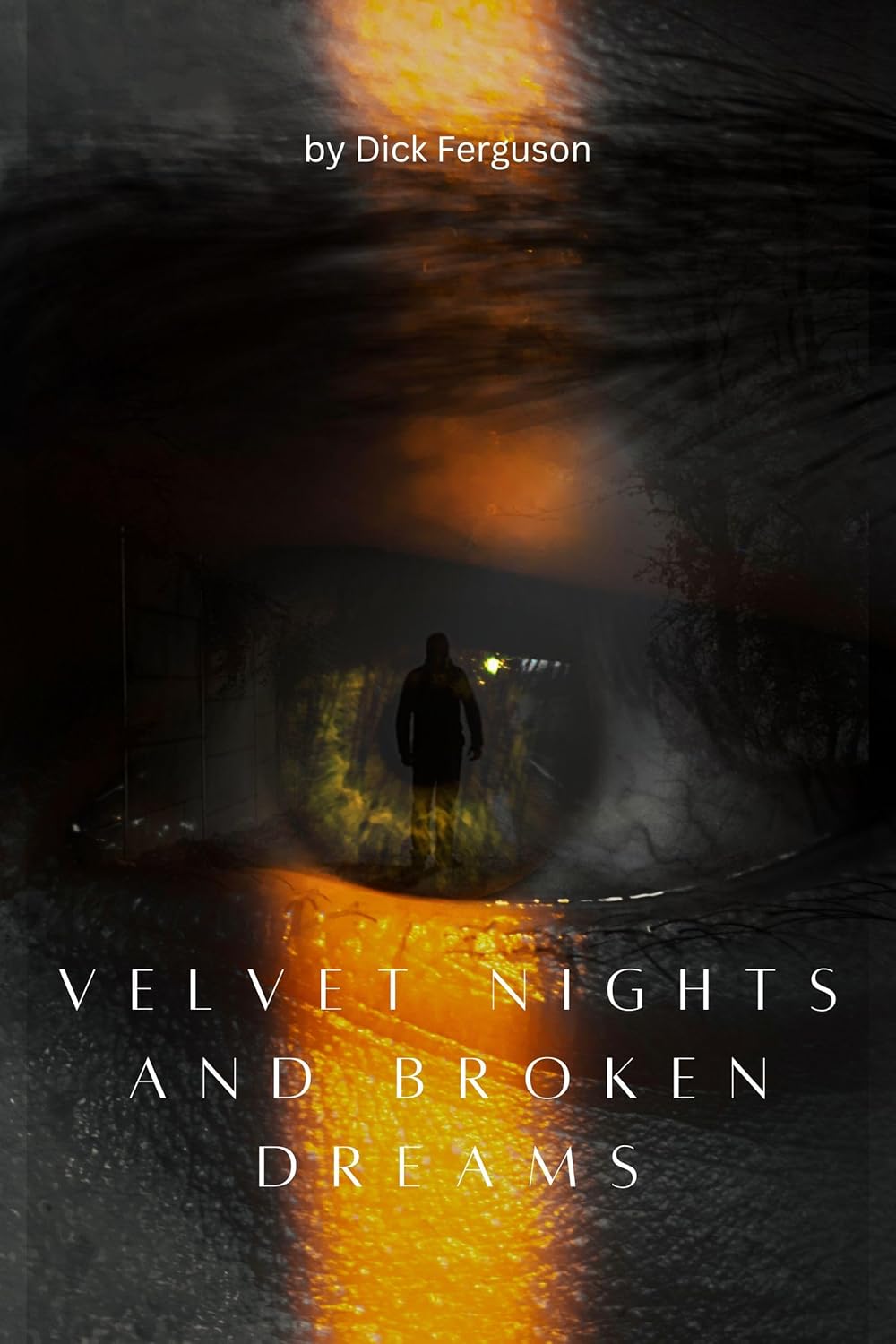 Velvet Nights and Broken Dreams