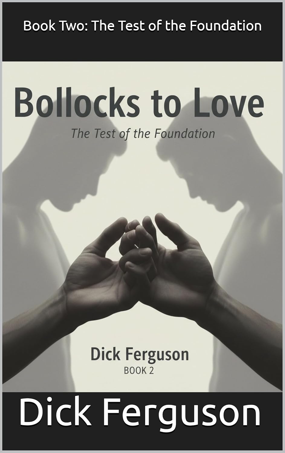 Bollocks to Love: Book Two: The Test of the Foundation
