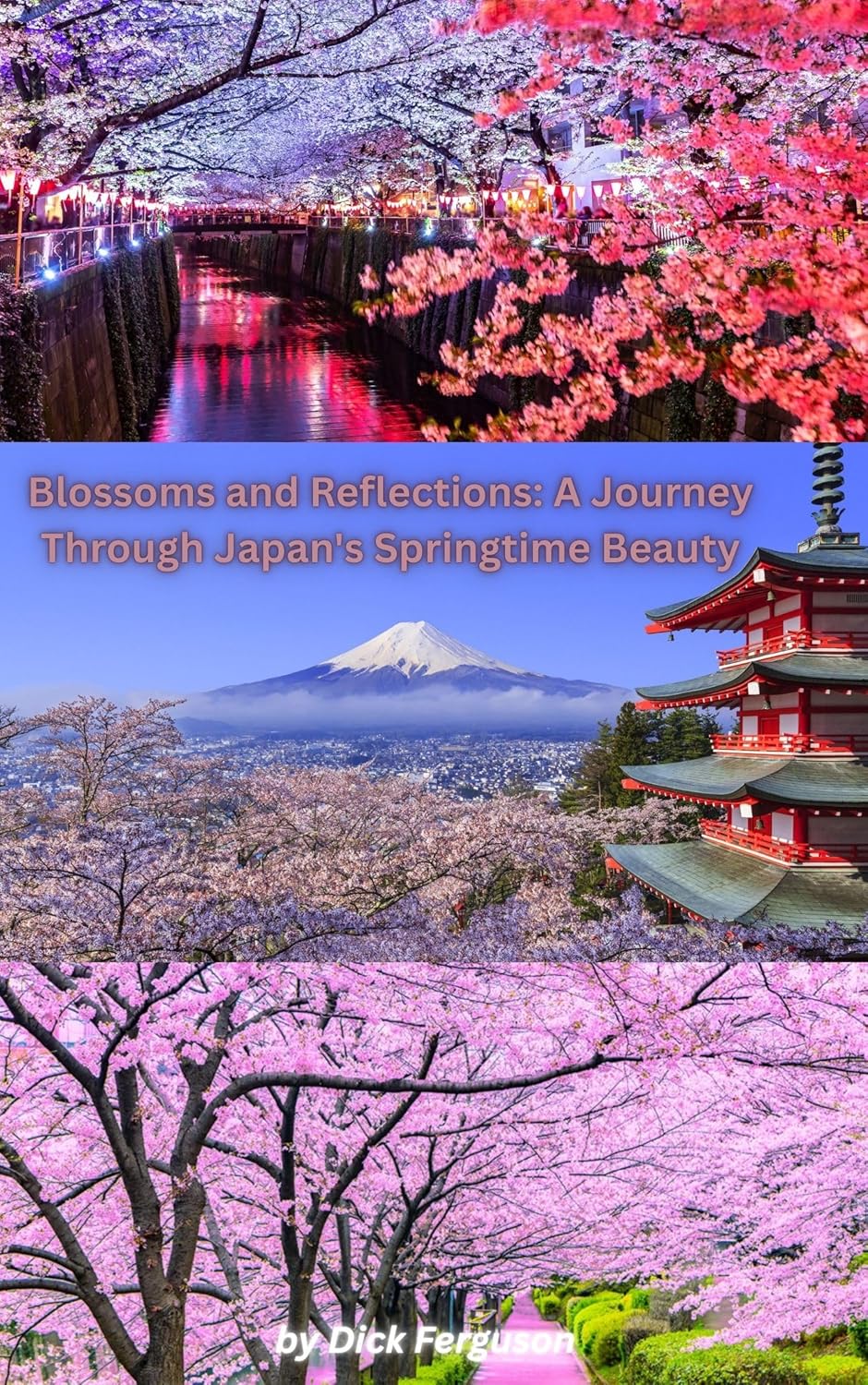 Blossoms and Reflections: A Journey Through Japan's Springtime Beauty